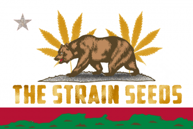The Strain Seeds